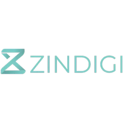 Zindigi